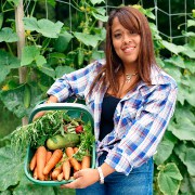 Healthy Eating related image